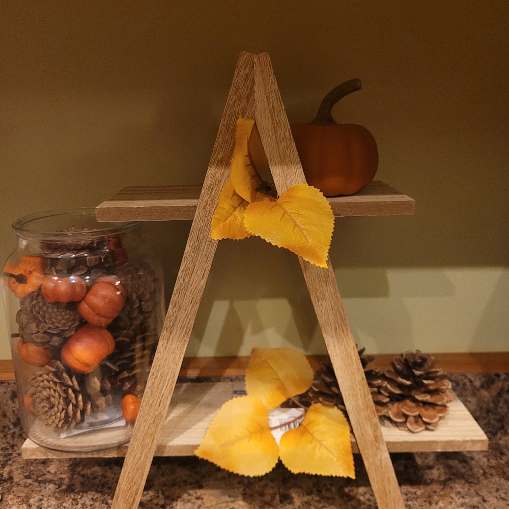 New Display Shelf